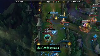视野